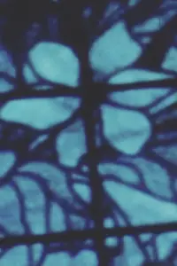 Постер до фильму"Пісня 17" #1045247