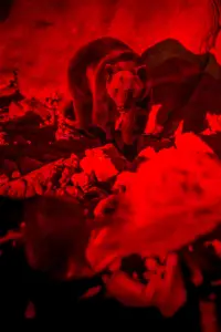 Постер до фильму"" #1024858