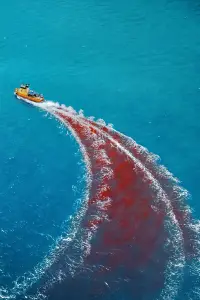 Постер до фильму"" #1053267