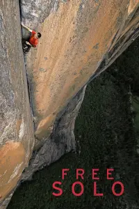 Постер до фильму"Фрі-соло" #957908