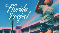 Задник до фильму"Проект «Флорида»" #947614