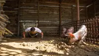 Задник до фильму"" #842272