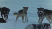 Задник до фильму"" #798454