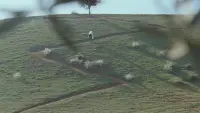 Задник до фильму"" #457603