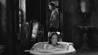 Задник до фильму"" #843300