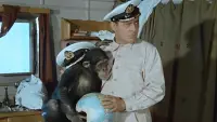Задник до фильму"Полосатий рейс" #813245
