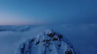 Задник до фильму"" #794922