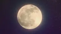 Задник до фильму"" #806834