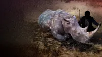 Задник до фильму"" #776407