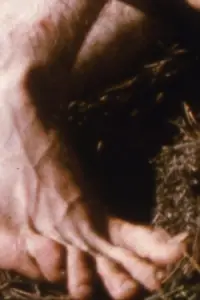 Постер до фильму"Кохати" #1043067