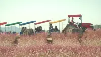 Задник до фильму"" #805211