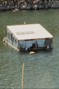 Surveilling A Crime Scene