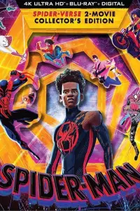 Постер до фильму"Людина-павук: Крізь всесвіт" #906331