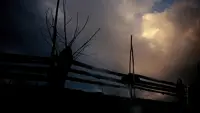 Задник до фильму"Тіні забутих предків" #764360