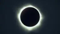 Задник до фильму"" #393818