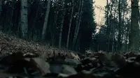 Задник до фильму"" #728672