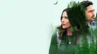 Задник до фильму"" #890105