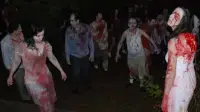 Задник до фильму"" #849241