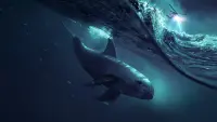 Задник до фильму"Море тіней" #782629