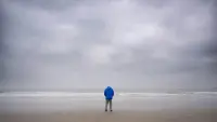 Задник до фильму"" #729224