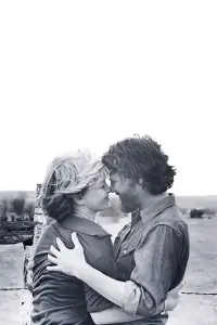 Постер до фильму"Аліса тут більше не живе" #858540