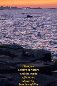 Diaries: Colours of Nature and the Way It Affects Our Memories. Part two of five