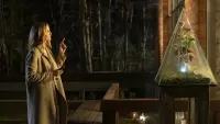 Задник до фильму"Попередження" #392273