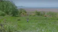 Задник до фильму"" #796340