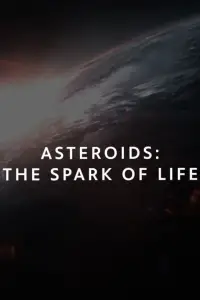 Asteroids: The Spark of Life?