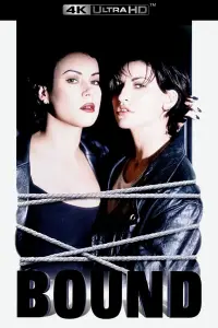 Постер до фильму"Зв