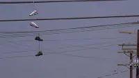 Задник до фильму"Форсаж" #775773