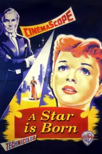 Постер до фильму"Зірка народилася" #1042519