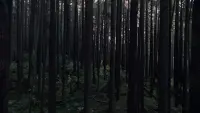 Задник до фильму"" #787076