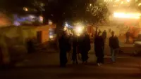 Задник до фильму"Жар-птица" #709536