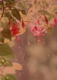 Постер до фильму"Зоряний сад" #1040888