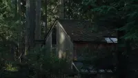 Задник до фильму"" #787074