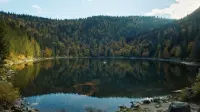 Задник до фильму"" #716819