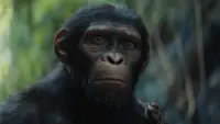 Задник до фильму"Королівство планети мавп" #315155