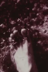 Постер до фильму"" #893249