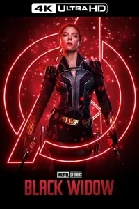 Постер до фильму"Чорна вдова" #935394