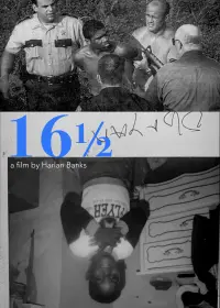 16 1/2