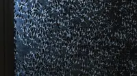 Задник до фильму"" #262605