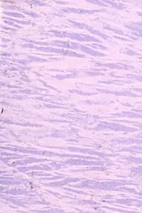 Постер до фильму"" #1039415