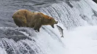 Задник до фильму"" #772869