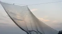 Задник до фильму"" #555416