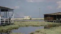 Задник до фильму"" #791723