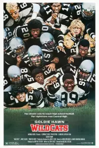 Постер до фильму"Дикі кішки" #1035470