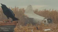 Задник до фильму"" #734571