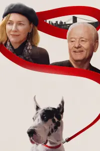 Постер до фильму"Друг" #589116