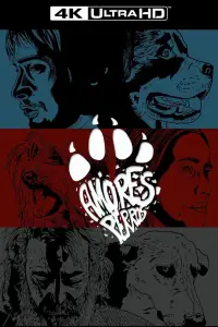 Постер до фильму"Сука любов" #1059383